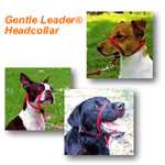 The Gentle Leader Headcollar